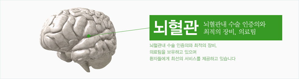 전남유일 뇌혈관내 수술 인증의와 최고의 장비, 의료팀 전남 유일의 뇌혈관내 수술 인증의와 최고의 장비, 의료팀을 보유하고 있으며, 환자들에게 최선의 서비스를 제공하고 있습니다.